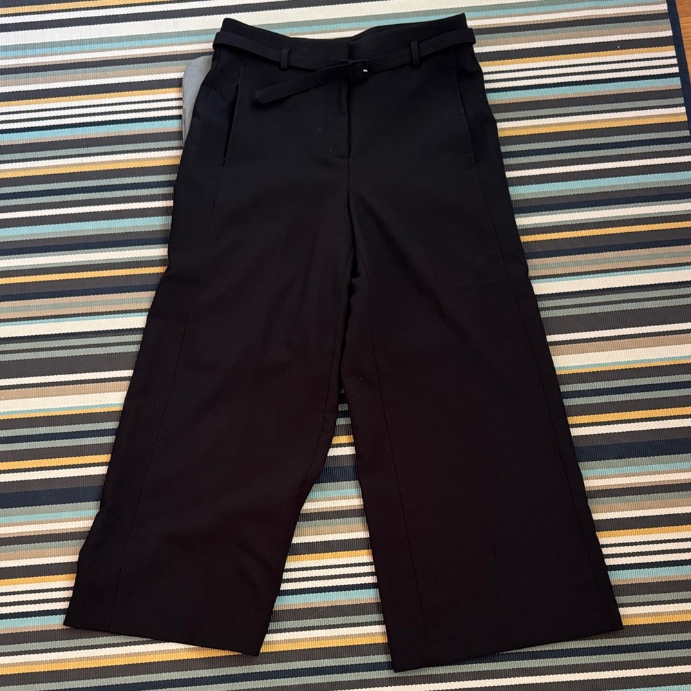 Ann Taylor Elegant Black Ankle Pants